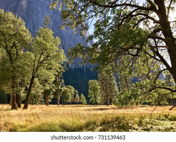 Meddle in Yosemite National Park