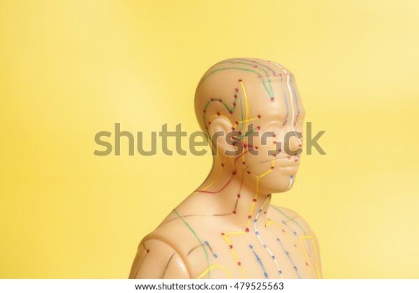 Medical acupuncture model of human head on\
yellow background