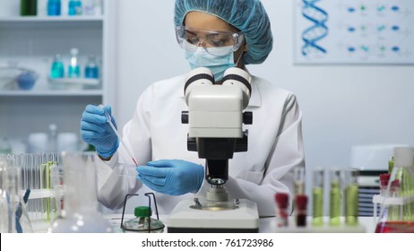 Medical Analyst Doing Biochemical Blood Research At Laboratory, Health Care