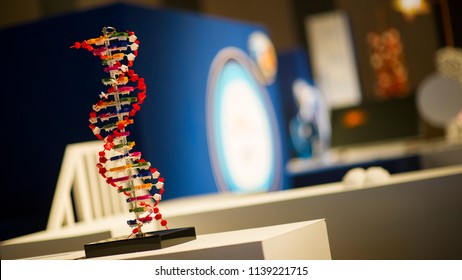 Medical Background DNA