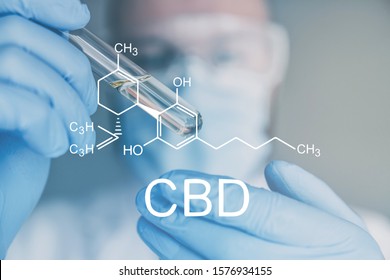 medical Cannabidiol (CBD) formula. Weed for recreational purposes. Indoor method of growing cannabis. Bloom of cannabis. Indoor grow cannabis cultivation. The concept of growing pot marijuana.