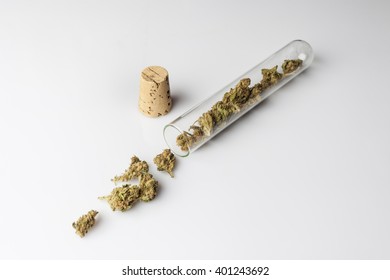 Medical cannabis buds in spilled and scattered from glass test tube with cork on white background from high angle