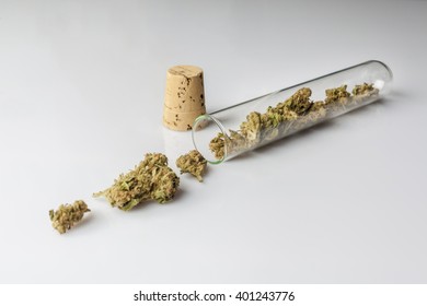Medical cannabis buds in spilled and scattered from glass test tube with cork on white background from side