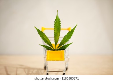 Medical Cannabis Delivery 