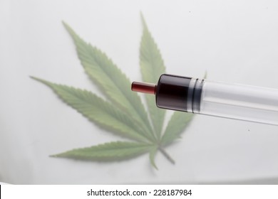 Medical Cannabis ( Marijuana ) Oil In Syringe Ready For Consumption