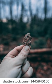 Medical Cannabis Nugget Out Doors Background