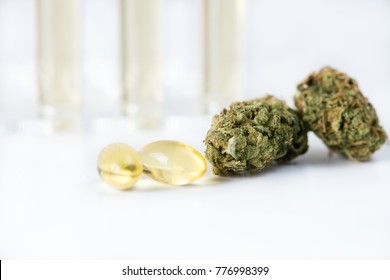 Medical Cannabis Oil Capsules And Buds 