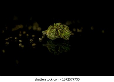 Medical Cannabis Seeds And CBD Cannabis Flower On The Black Mirroring Background.