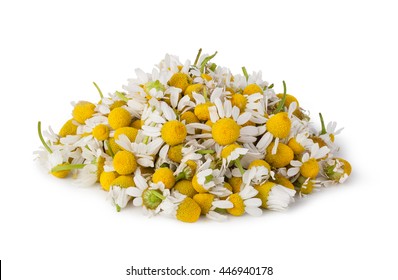 Medical Chamomile Isolated On White Background