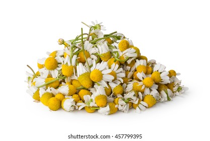 Medical Chamomile Isolated On White Background