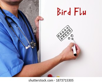 Medical Concept About Bird Flu  With Sign On The Sheet.
