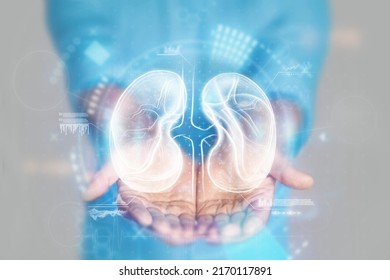 Medical concept, doctor's hands in a blue coat close-up. Ultrasound of the kidneys, x-ray, hologram. Medical care, anatomy, doctor's appointment, transplantology. mixed media - Shutterstock ID 2170117891