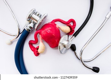 Medical concept in obstetrics and gynecology. Anatomical figure copy of uterus with appendages - ovaries and fallopian tubes is surrounded by two heads of stethoscopes, which examined it top view - Shutterstock ID 1127439359