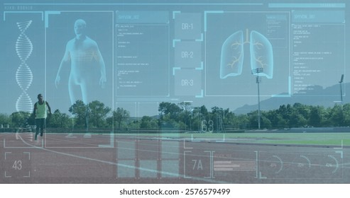 Medical data and human anatomy image over outdoor sports track background. Healthcare, technology, athletics, biomechanics, data visualization, sports science