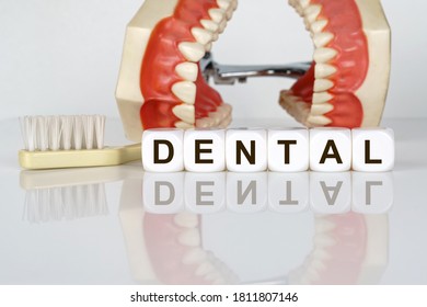 Medical, dental concept. The text is written on the cubes - DENTAL. In the background, a model of the jaw with a toothbrush. Prevention of dental diseases.