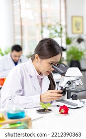 Medical Development Laboratory: Asian Woman Female Scientist Looking Under Microscope, Analyzes Petri Dish Sample. Specialists Working On Medicine, Biotechnology Research In Advanced Pharma Lab.