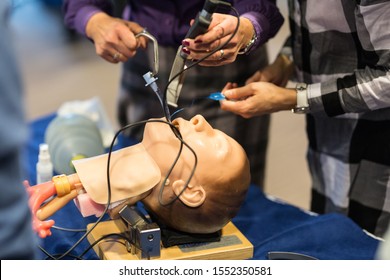 Medical Doctor Specialist Expert Displaying Method Of Patient Intubation Technique On Hands On Medical Education Training And Workshop.