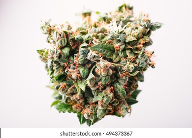 Medical drug cannabis bud with THC crystals