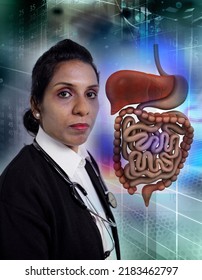 medical education concept, young doctor showing human digestive system, 3d illustration concept