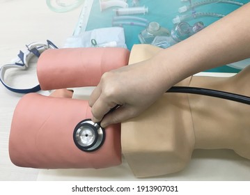 Medical Equipment For Airway Management : Lung Test With Stethoscope On Model For Cpr Training