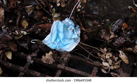 Medical Face Mask Near A Storm Drain During Rain. Coronavirus Waste. Covid-19 Trash. Stormwater And Enviroment Pollution