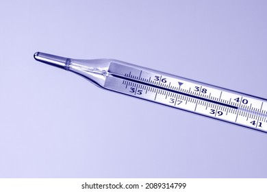 Medical glass thermometer shows high body temperature 39.9 - 40 celsius. Mercury thermometer macro on a very peri background. High quality photo