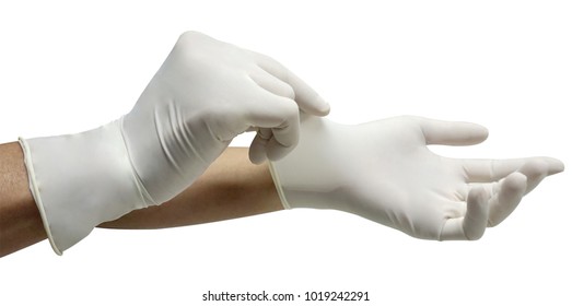  Medical gloves made of natural rubber.