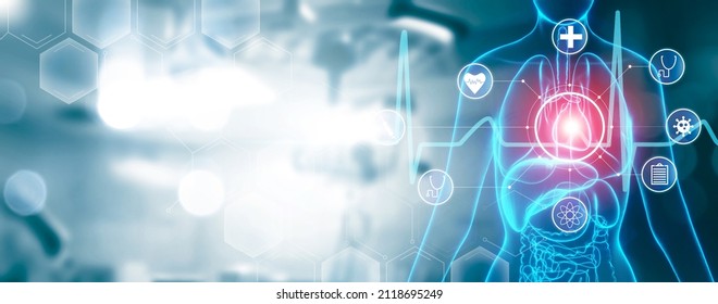 Medical healthcare digital hologram anatomy of female heart and organs concept, with graphical icon display ai holographic display assistant technology. 3d modeling with blue banner background - Shutterstock ID 2118695249