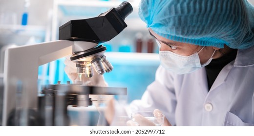 Medical healthcare researcher and scientist writing experiment detail on paper in clipboard while looking at laptop for details with colleague looking through microscope in background in laboratory - Shutterstock ID 2052997712