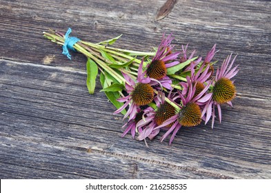 medical herbs echinacea flowers bunch on ancient wooden table background