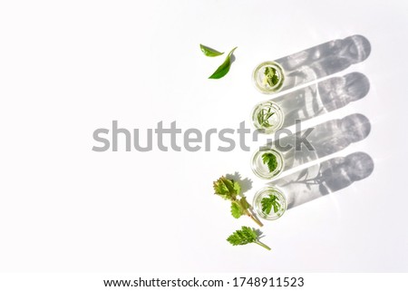 Medical herbs and plants in laboratory glass bottles on a white background. Concept of natural bio cosmetics and natural skin care