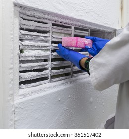 Medical Laboratory Technologist, Medical Laboratory Scientist, Scientist Working At The Laboratory,working With Very Cold Refrigerator And Freezer In Lab