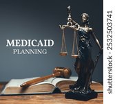 Medical malpractice and Medicaid planning lawyers specialize in healthcare law. They represent clients in malpractice claims and help navigate Medicaid planning for long-term healthcare needs and bene