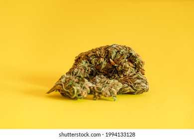 Medical marihuana weed cannabis on a bright yellow background