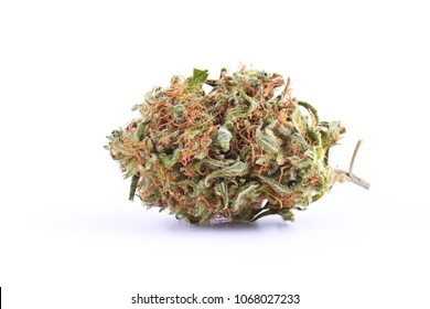 Medical Marijuana Bud Isolated On White Background. Therapeutic And Medicinal Cannabis Weed