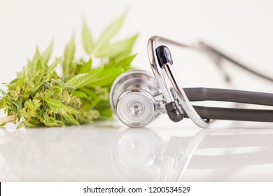 medical marijuana cannabis  cbd. hemp bud. 