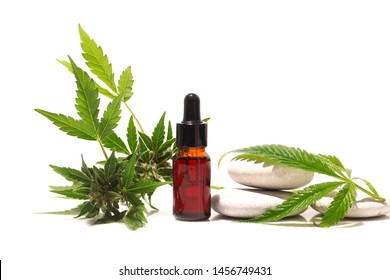 Medical marijuana cannabis . cbd oil. Hemp leaf