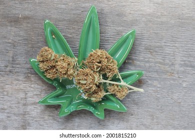 大麻草图片 库存照片和矢量图 Shutterstock