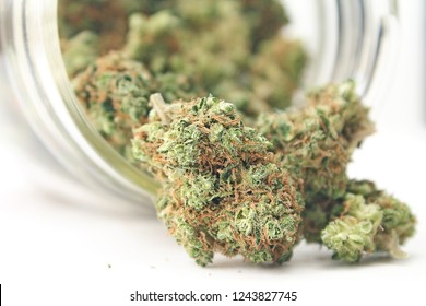 Medical Marijuana Flower Close Up. Cannabis Bud Photography For Dispensary Menu. Medical Marijuana Strain. Weed Bud, Weed Flower.