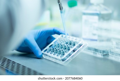 medical and medicine and biology laboratory photo  - Shutterstock ID 2077684060