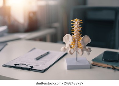 Medical office desk featuring an anatomical model of the human skeleton, highlighting the spinal column, with patient file and pen - Powered by Shutterstock