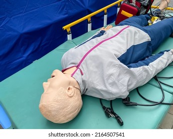 A Medical Phantom Used For Medical Simulation And Demonstration Of Proper Resuscitation Techniques.