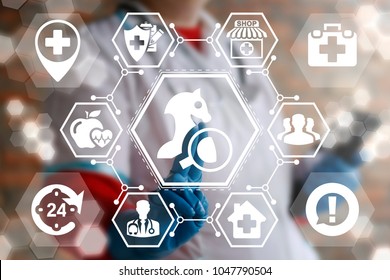 Medical Planning Concept. Healthcare Strategy Development. Health Worker Pressing Horse Chess Figure Magnifying Glass Button On A Virtual Interface.