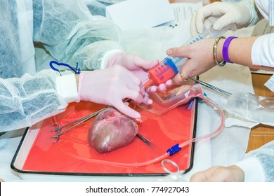 Heartsurgery Images, Stock Photos & Vectors | Shutterstock