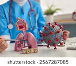 Medical professional examines lung model and virus representation in a modern healthcare setting