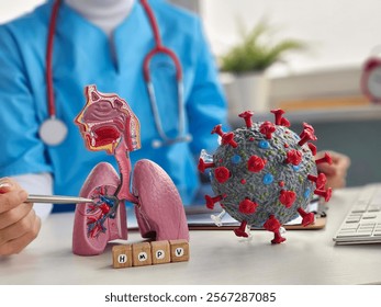 Medical professional examines lung model and virus representation in a modern healthcare setting