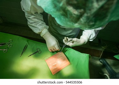 Medical School Student Practicing Surgical Stitching On A Piece Of Artificial Skin In A Hospital