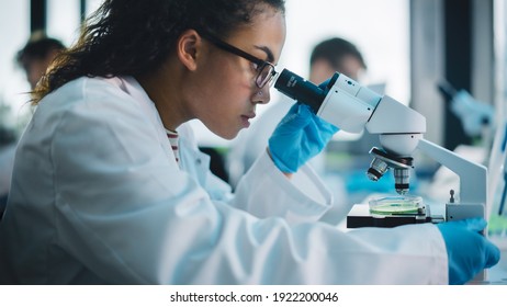 Medical Science Laboratory: Beautiful Black Scientist Looking Under Microscope Does Analysis of Test Sample. Diverse Team of Young Specialists, Using Advanced Technology Equipment. - Powered by Shutterstock