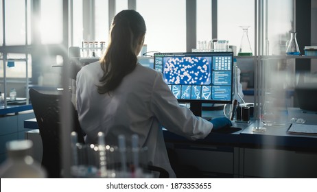 Medical Science Laboratory With Diverse Team Of Professional Biotechnology Scientists Developing Drugs, Female Biochemist Working On Computer Showing Gene Therapy Interface. Back View Shot