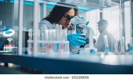Medical Science Laboratory: Portrait Of Beautiful Black Scientist Looking Under Microscope Does Analysis Of Test Sample. Ambitious Young Biotechnology Specialist, Working With Advanced Equipment